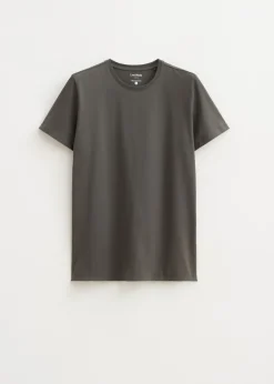 T-Shirts<The Sting Basic t-shirt groen, grijs