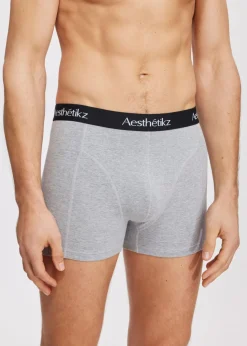 Ondergoed<The Sting Boxer 3-pack blauw grijs grijs gem&ecirc;leerd