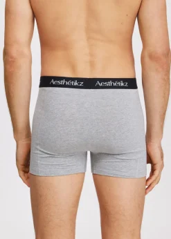 Ondergoed<The Sting Boxer 3-pack blauw grijs grijs gem&ecirc;leerd