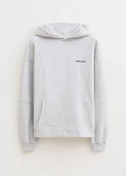 Sweaters En Hoodies<The Sting Boxy hoodie met merk grijs, licht melee