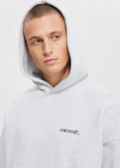 Sweaters En Hoodies<The Sting Boxy hoodie met merk grijs, licht melee