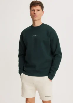 Sweaters En Hoodies<The Sting Brushed written sweater groen, oceaan