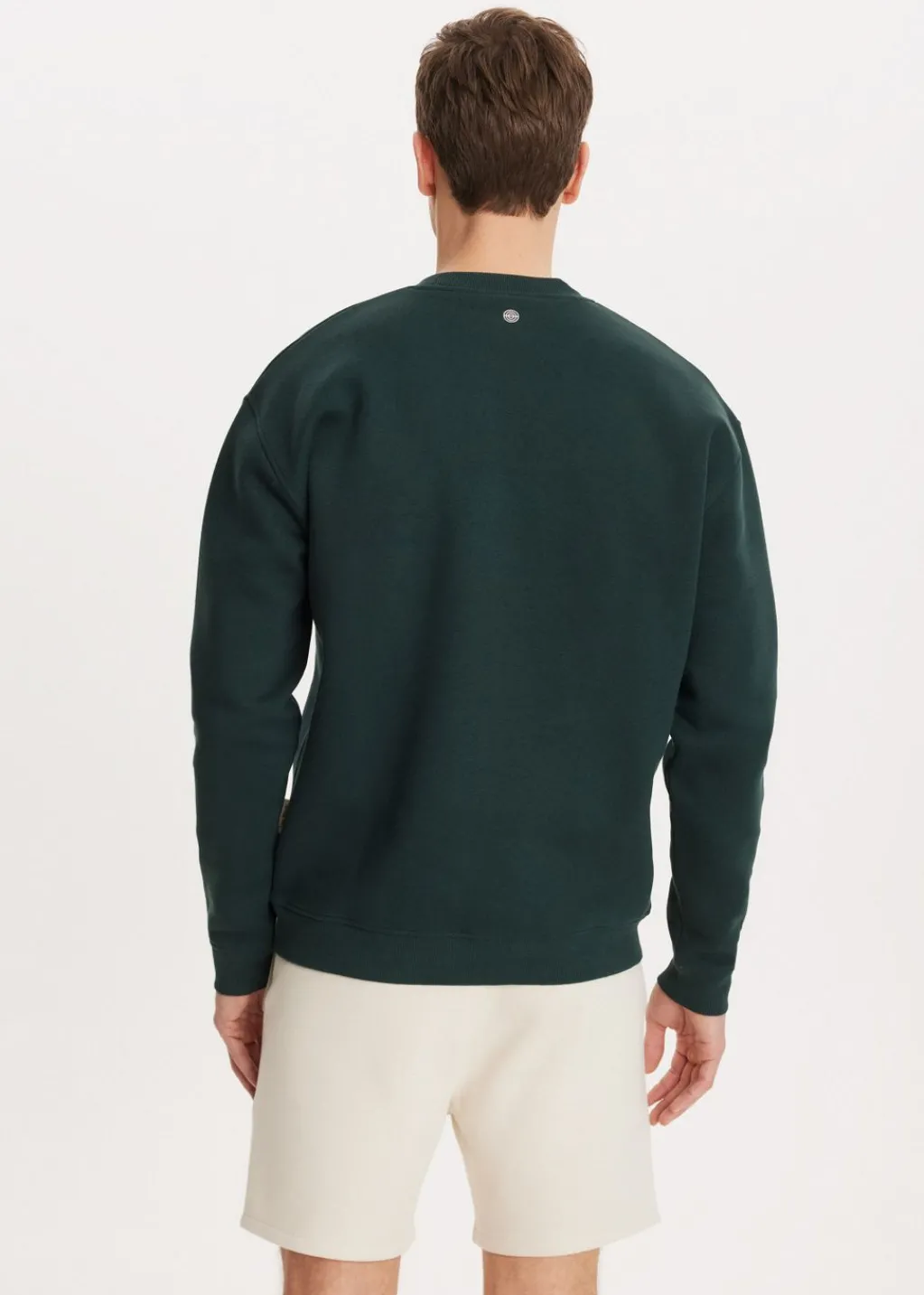 Sweaters En Hoodies<The Sting Brushed written sweater groen, oceaan