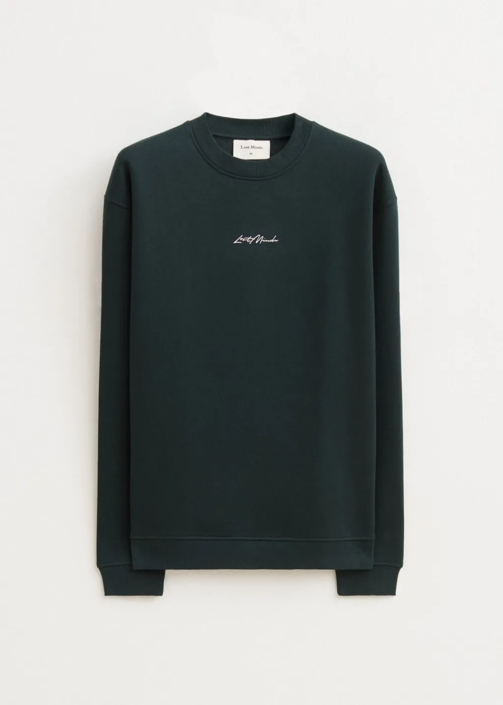 Sweaters En Hoodies<The Sting Brushed written sweater groen, oceaan