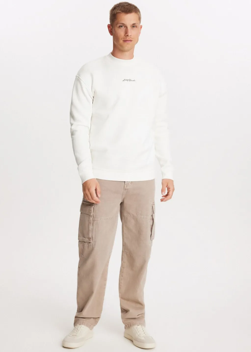 Sweaters En Hoodies<The Sting Brushed written sweater wit, off-white