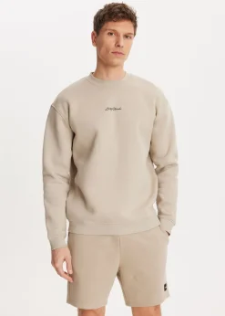 Sweaters En Hoodies<The Sting Brushed written sweater lichtzand