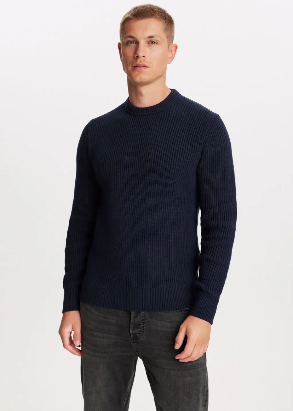 Basics|Truien En Vesten<The Sting Gebreide trui donkerblauw