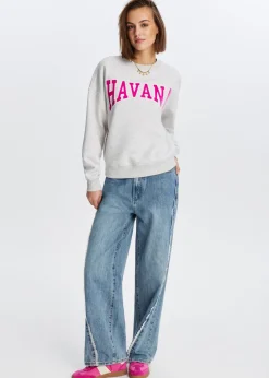 Sweaters En Hoodies<The Sting Havana velvet sweater grijs gem&ecirc;leerd