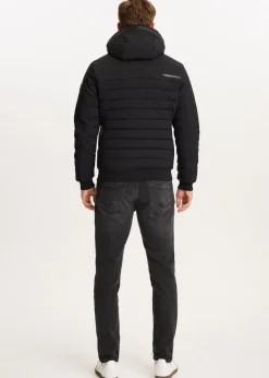 Jassen<The Sting Softshell jas zwart