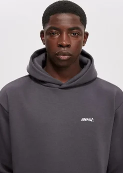 Sweaters En Hoodies<The Sting Sweat hoodie grijs, grafiet