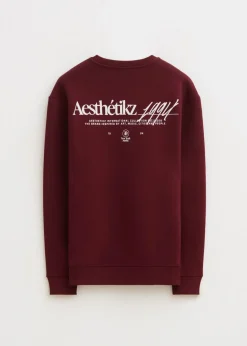 Sweaters En Hoodies<The Sting Sweater met print 1994 bordeaux