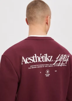 Sweaters En Hoodies<The Sting Sweater met print 1994 bordeaux