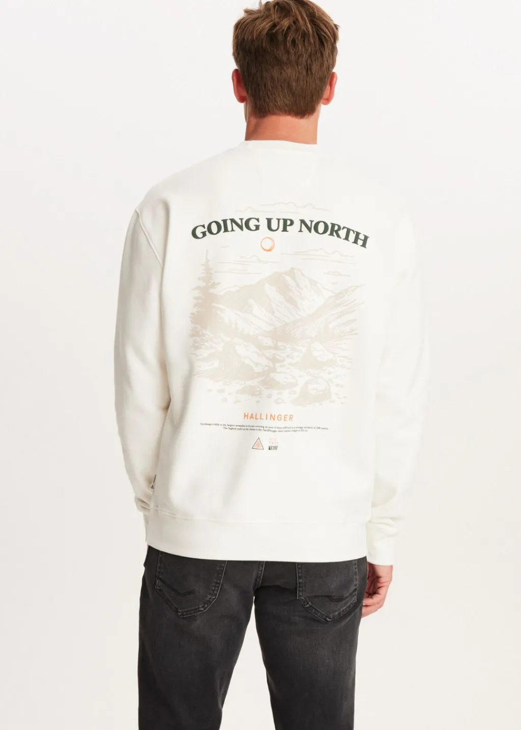 Sweaters En Hoodies<The Sting Sweater met print north wit, off-white