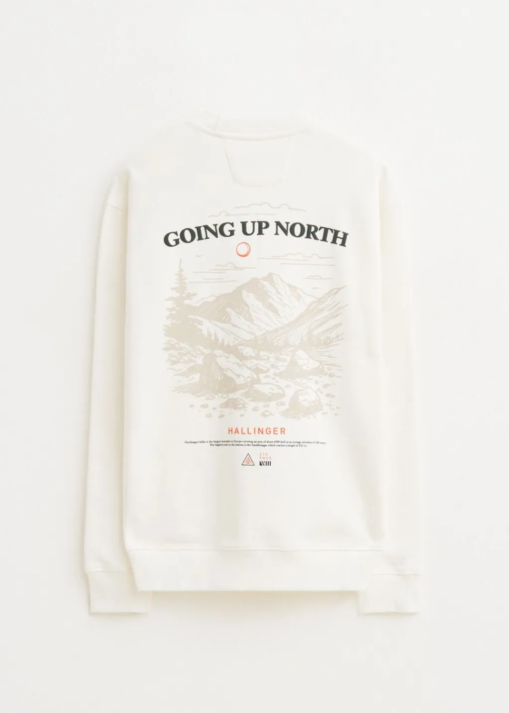 Sweaters En Hoodies<The Sting Sweater met print north wit, off-white