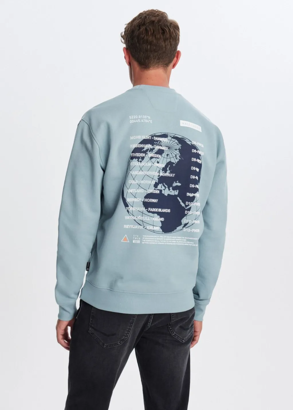 Sweaters En Hoodies<The Sting Sweater met print wereldbol blauw, ijs