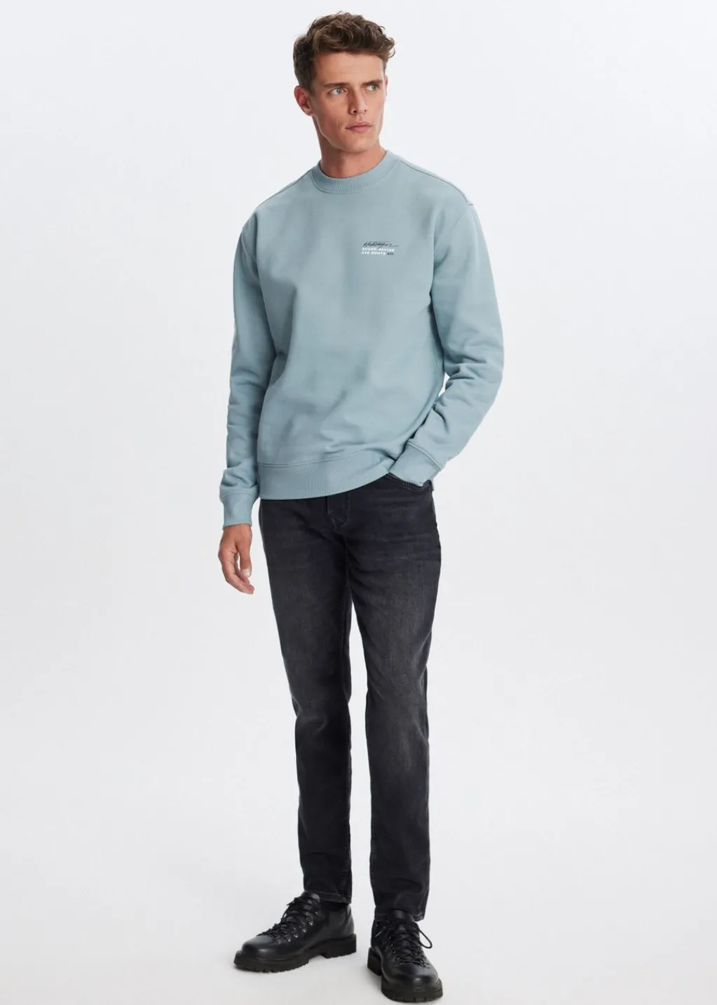 Sweaters En Hoodies<The Sting Sweater met print wereldbol blauw, ijs