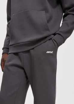 Broeken<The Sting Sweatpants met merk print grijs, grafiet