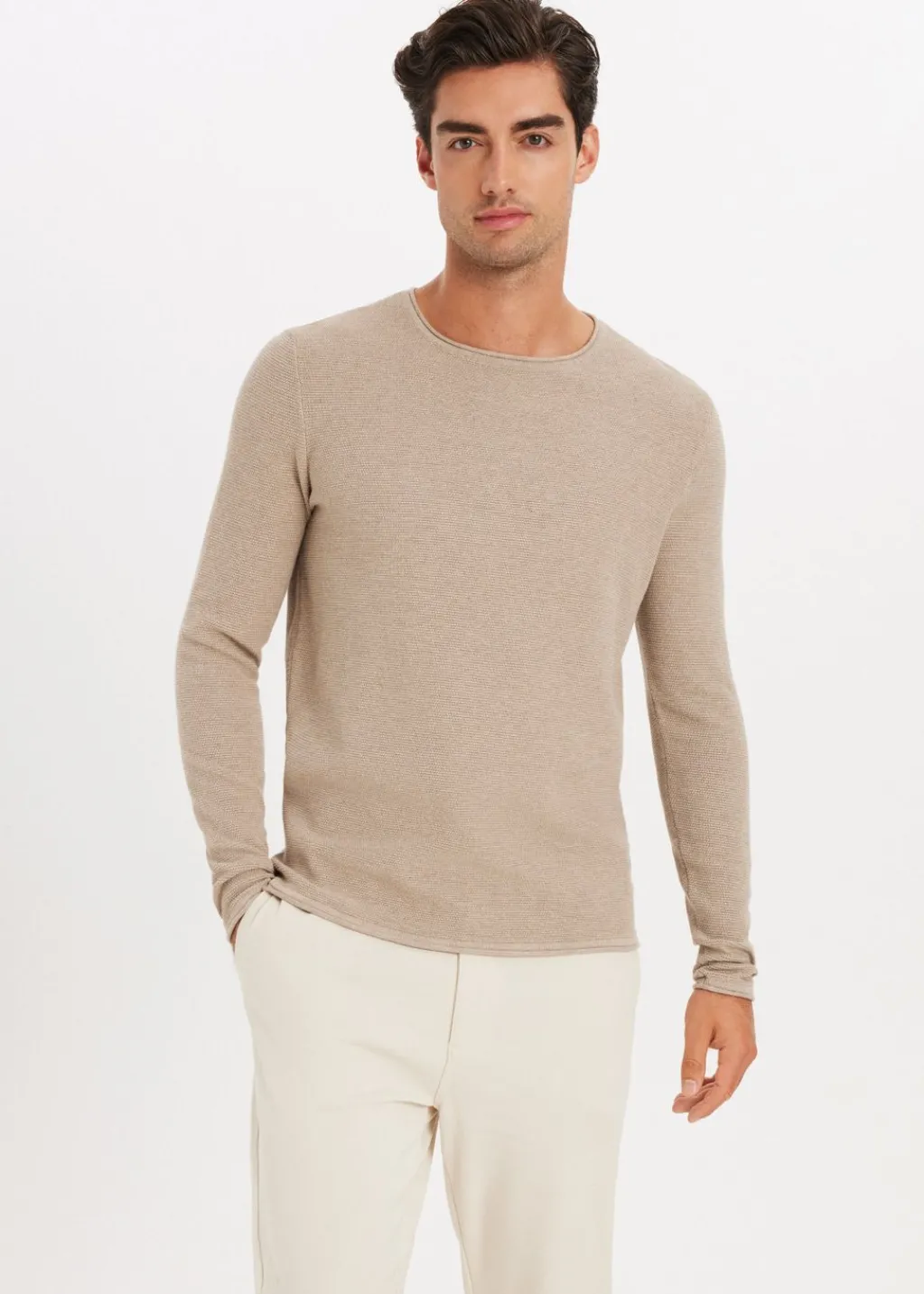 Basics|Truien En Vesten<The Sting Trui melange taupe, light