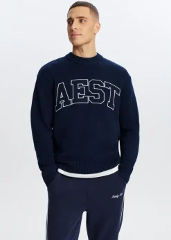 Truien En Vesten<The Sting Trui met jacquarddetail donkerblauw