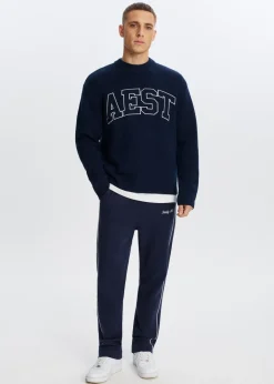 Truien En Vesten<The Sting Trui met jacquarddetail donkerblauw