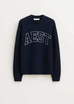 Truien En Vesten<The Sting Trui met jacquarddetail donkerblauw