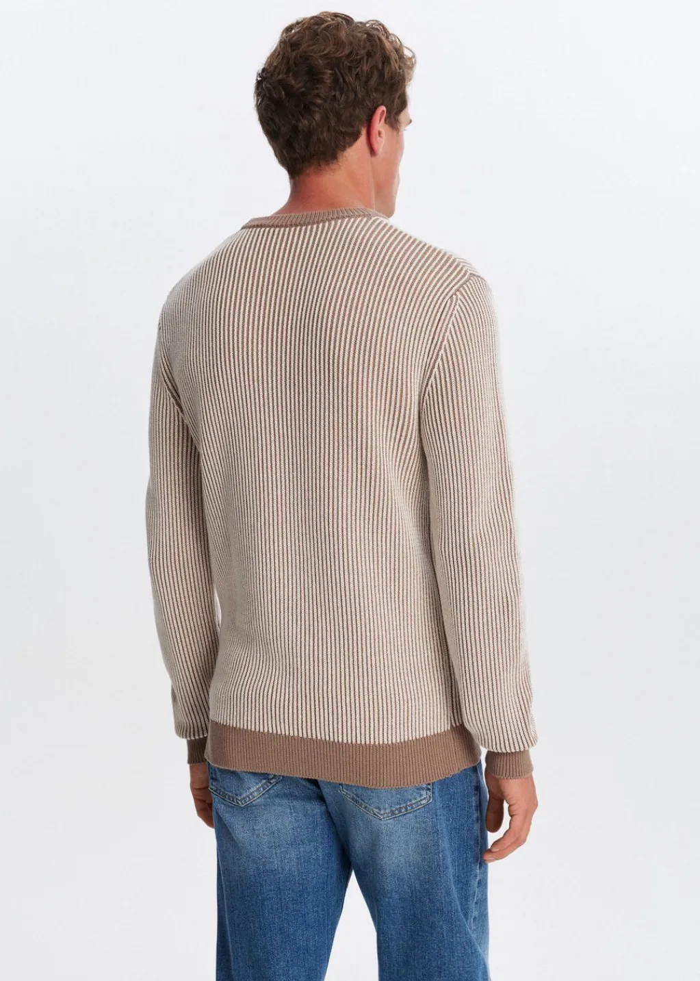 Truien En Vesten<The Sting Trui met logo taupe