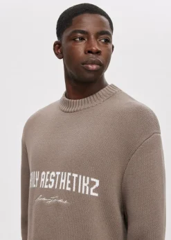 Truien En Vesten<The Sting Trui met merk taupe, dark