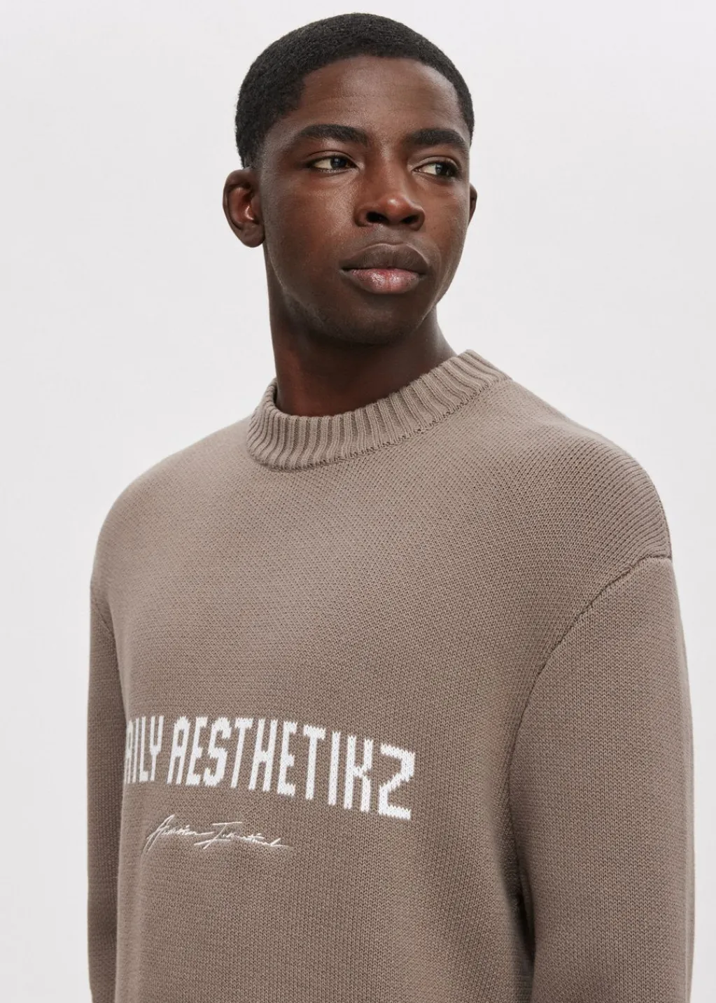 Truien En Vesten<The Sting Trui met merk taupe, dark