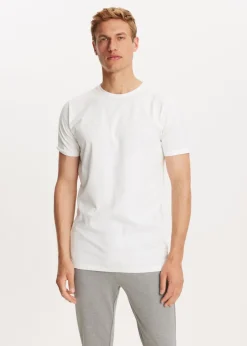 Basics|T-Shirts<The Sting T-shirt basic wit
